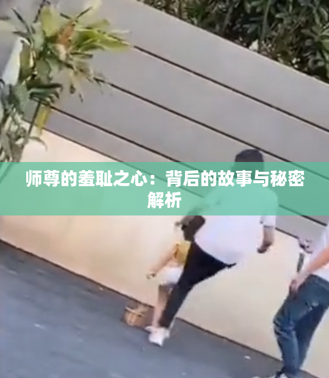 师尊的羞耻之心：背后的故事与秘密解析