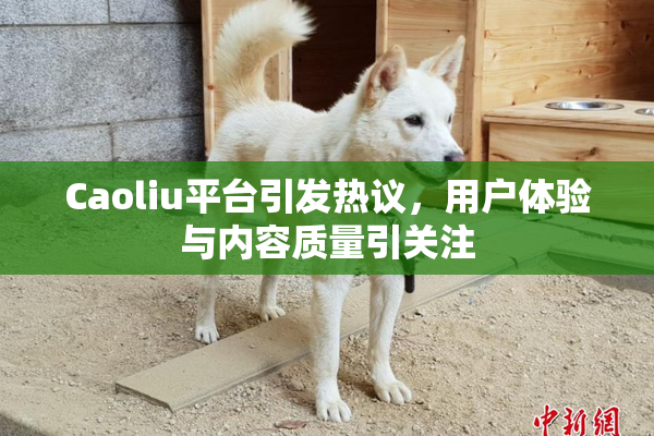 Caoliu平台引发热议，用户体验与内容质量引关注