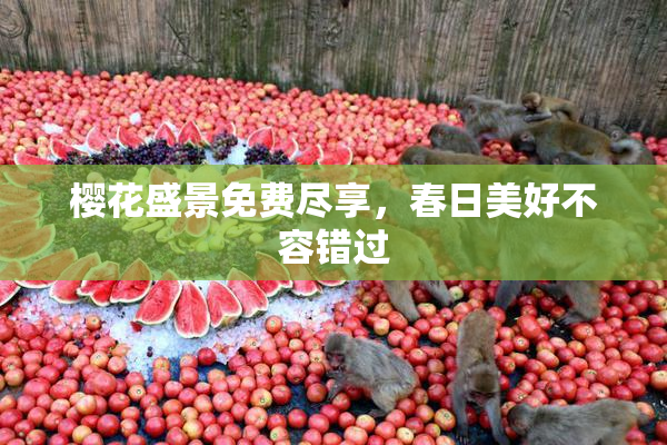 樱花盛景免费尽享，春日美好不容错过