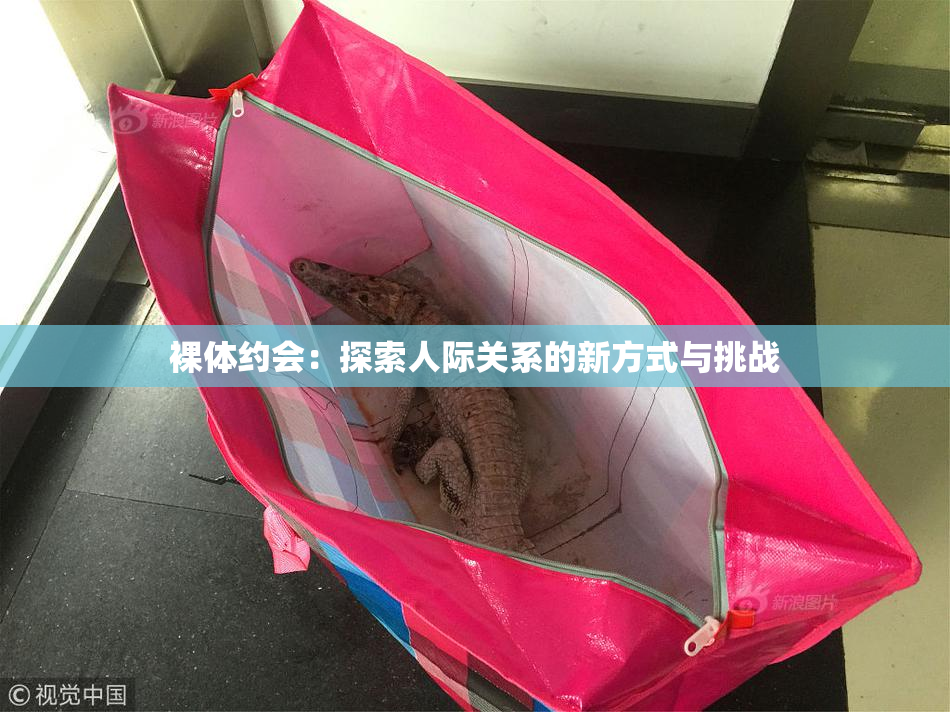 裸体约会：探索人际关系的新方式与挑战