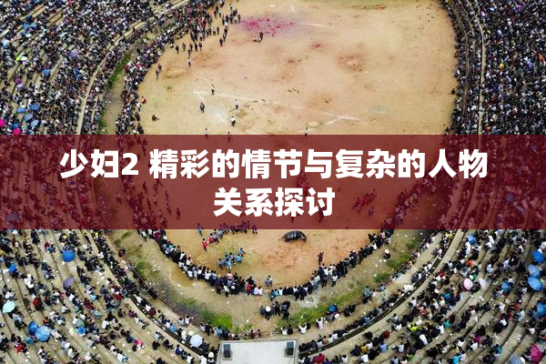 少妇2 精彩的情节与复杂的人物关系探讨