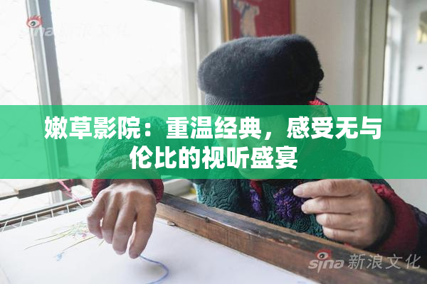 嫩草影院：重温经典，感受无与伦比的视听盛宴