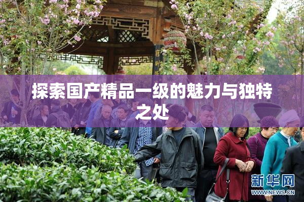 探索国产精品一级的魅力与独特之处