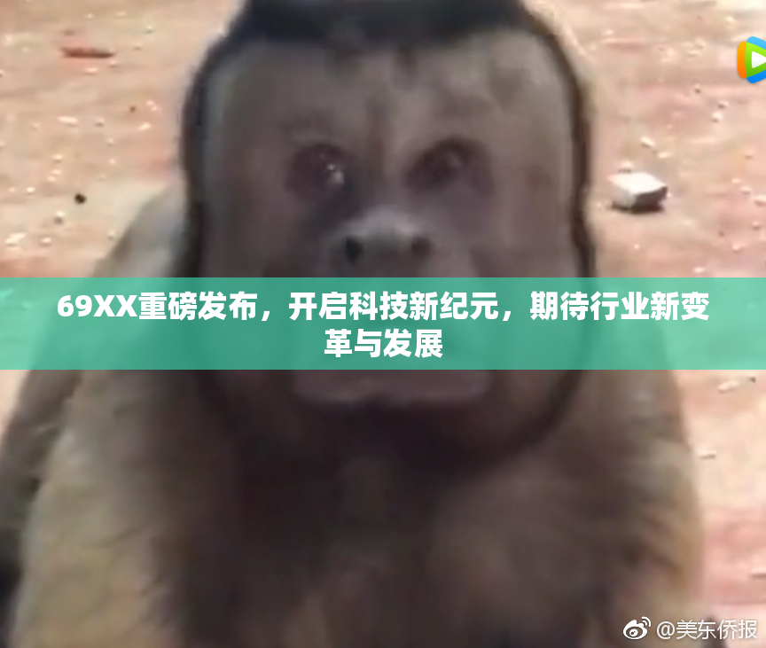 69XX重磅发布，开启科技新纪元，期待行业新变革与发展