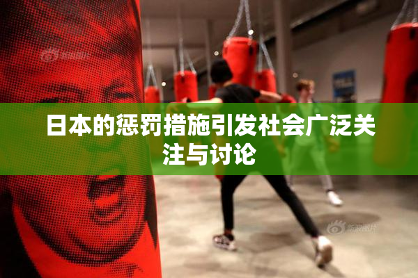日本的惩罚措施引发社会广泛关注与讨论