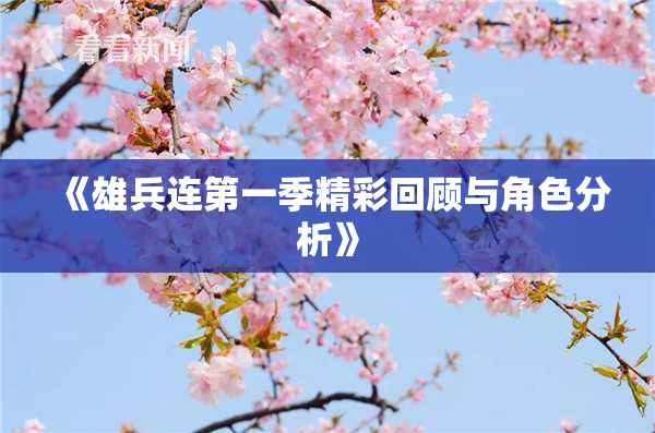 《雄兵连第一季精彩回顾与角色分析》