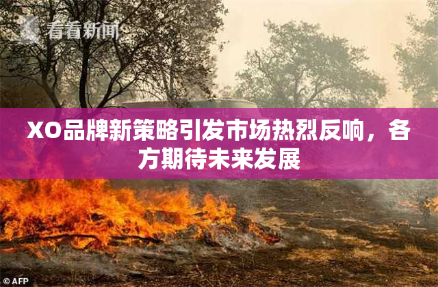 XO品牌新策略引发市场热烈反响，各方期待未来发展