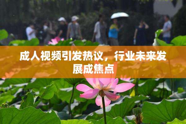 成人视频引发热议，行业未来发展成焦点