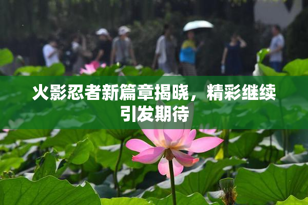 火影忍者新篇章揭晓，精彩继续引发期待