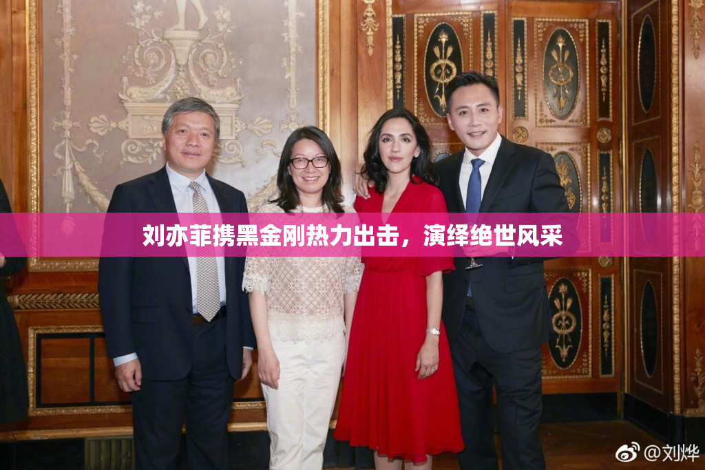 刘亦菲携黑金刚热力出击，演绎绝世风采
