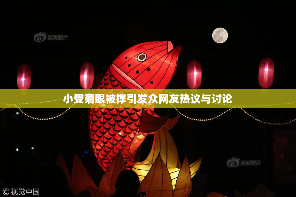 小受菊眼被撑引发众网友热议与讨论