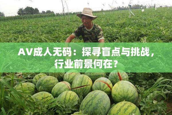 AV成人无码：探寻盲点与挑战，行业前景何在？