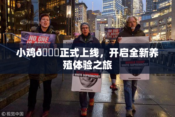 小鸡🐔正式上线，开启全新养殖体验之旅