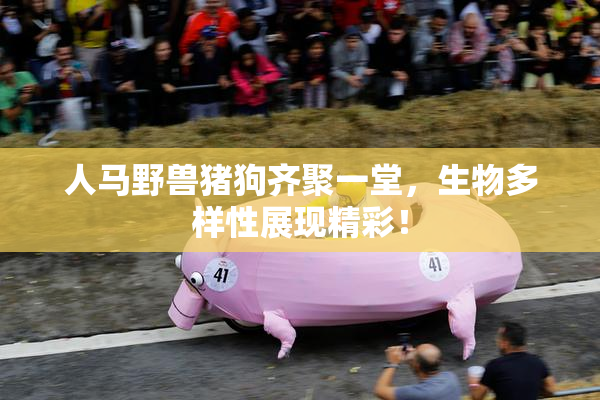 人马野兽猪狗齐聚一堂，生物多样性展现精彩！