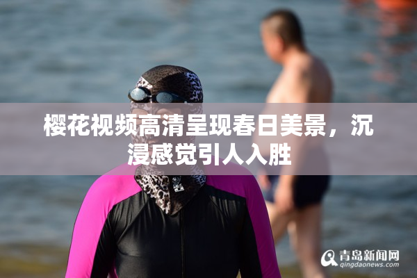 樱花视频高清呈现春日美景，沉浸感觉引人入胜