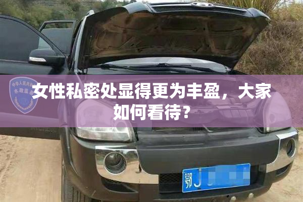 女性私密处显得更为丰盈，大家如何看待？