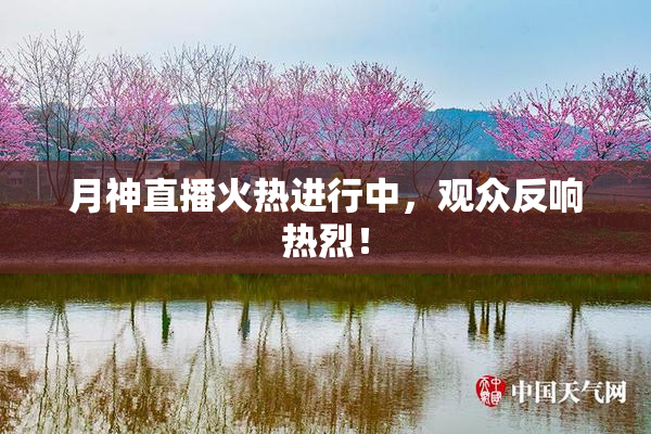 月神直播火热进行中，观众反响热烈！