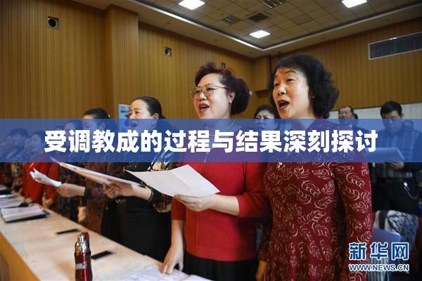 受调教成的过程与结果深刻探讨