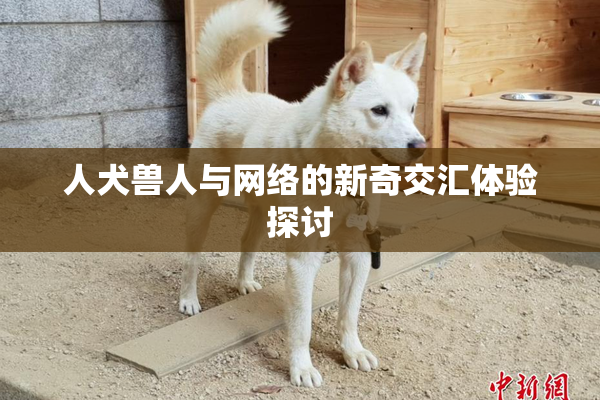 人犬兽人与网络的新奇交汇体验探讨