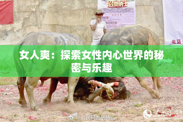 女人爽：探索女性内心世界的秘密与乐趣