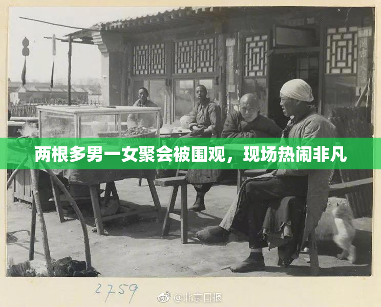 两根多男一女聚会被围观，现场热闹非凡