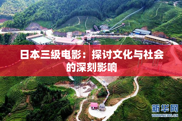日本三级电影：探讨文化与社会的深刻影响