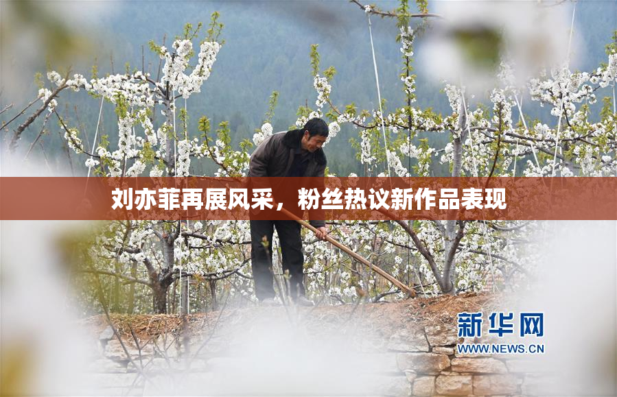 刘亦菲再展风采，粉丝热议新作品表现