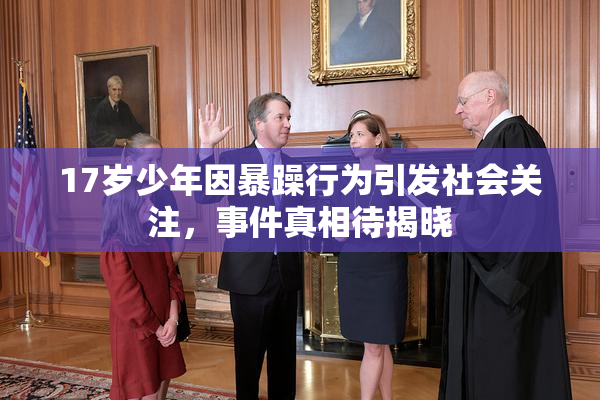 17岁少年因暴躁行为引发社会关注，事件真相待揭晓