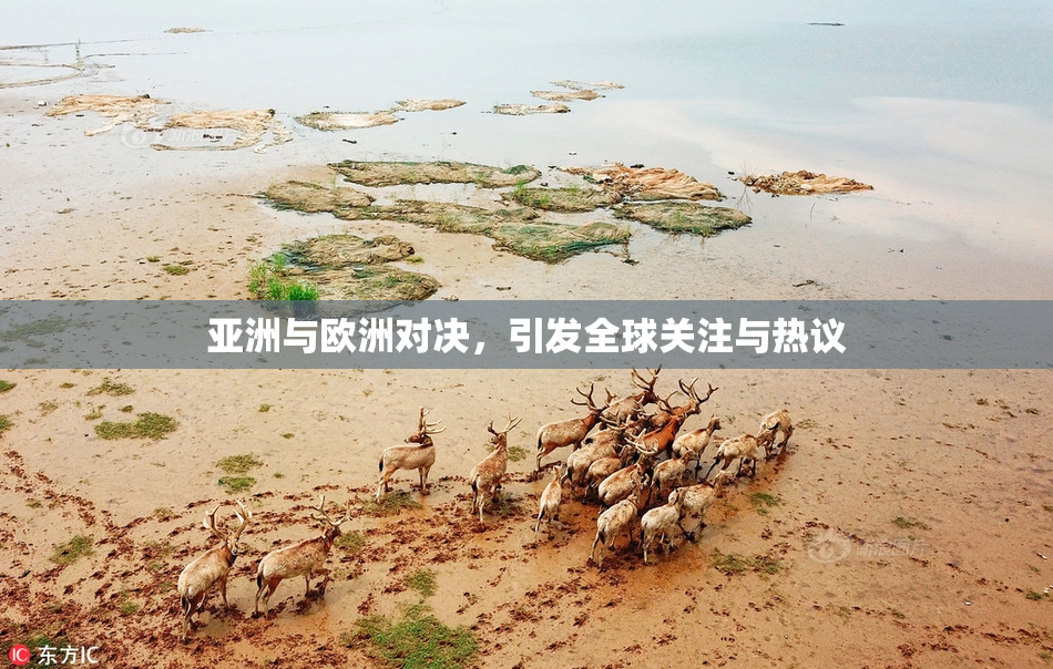 亚洲与欧洲对决，引发全球关注与热议