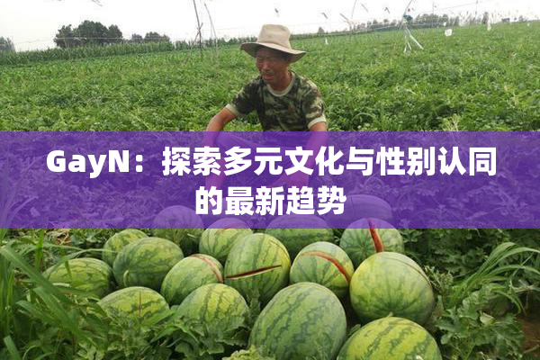 GayN：探索多元文化与性别认同的最新趋势