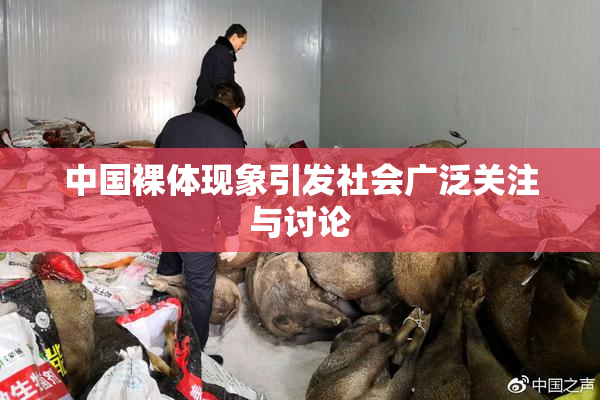 中国裸体现象引发社会广泛关注与讨论