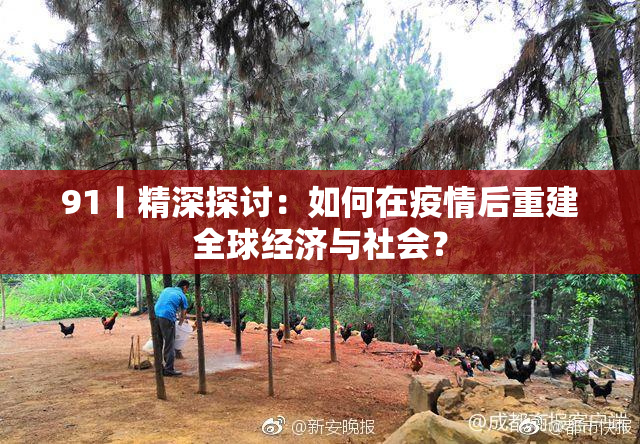 91丨精深探讨：如何在疫情后重建全球经济与社会？