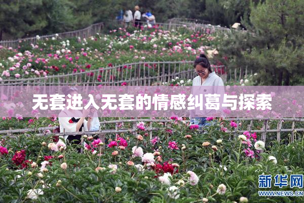 无套进入无套的情感纠葛与探索