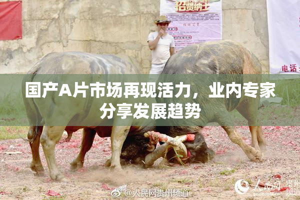 国产A片市场再现活力，业内专家分享发展趋势