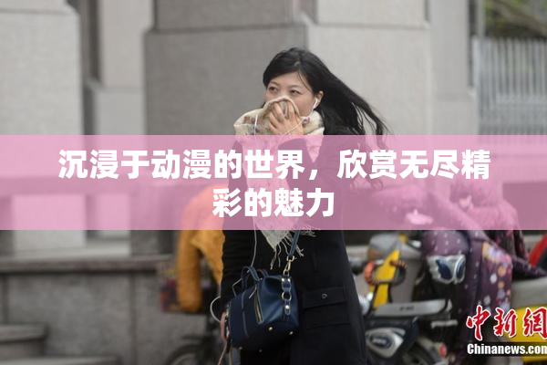 沉浸于动漫的世界，欣赏无尽精彩的魅力