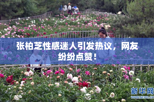 张柏芝性感迷人引发热议，网友纷纷点赞！