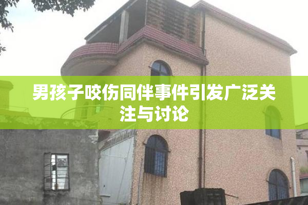 男孩子咬伤同伴事件引发广泛关注与讨论