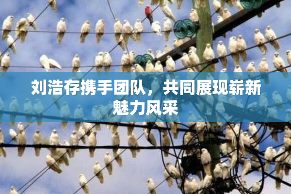 刘浩存携手团队，共同展现崭新魅力风采