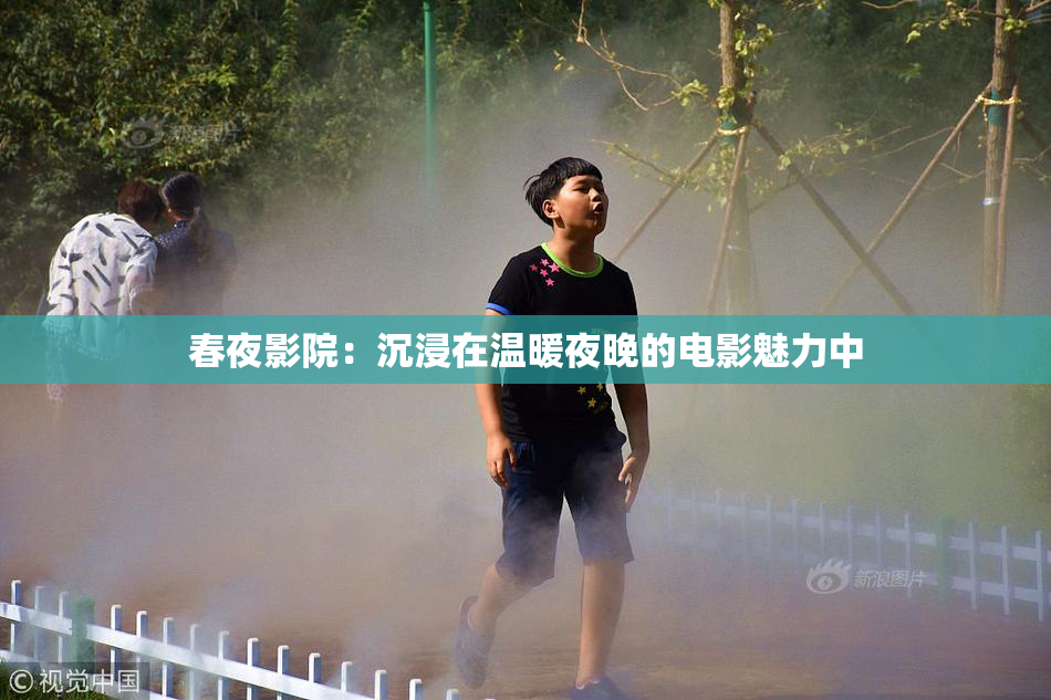 春夜影院：沉浸在温暖夜晚的电影魅力中