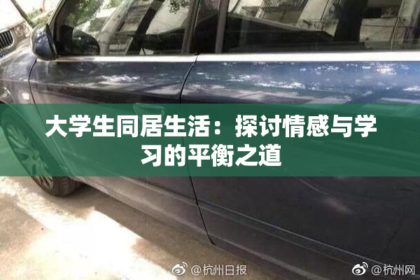 大学生同居生活：探讨情感与学习的平衡之道