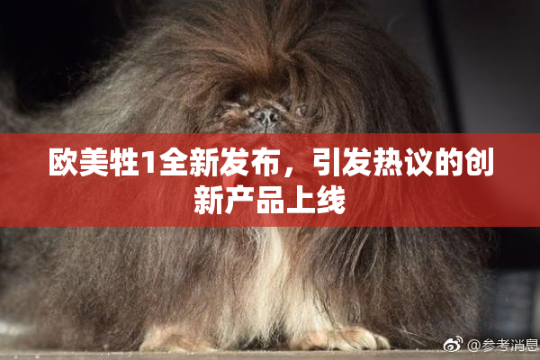 欧美牲1全新发布，引发热议的创新产品上线