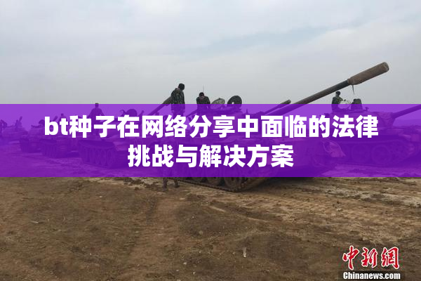 bt种子在网络分享中面临的法律挑战与解决方案