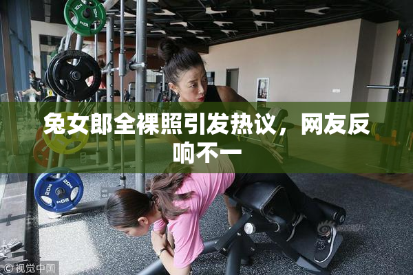 兔女郎全裸照引发热议，网友反响不一