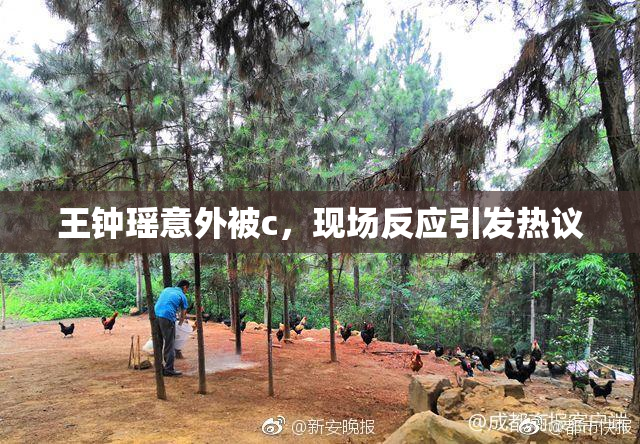 王钟瑶意外被c，现场反应引发热议