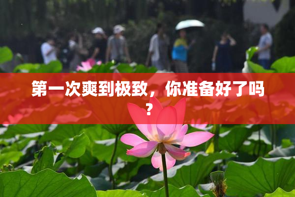 第一次爽到极致，你准备好了吗？