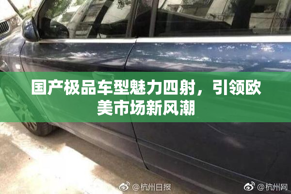 国产极品车型魅力四射，引领欧美市场新风潮