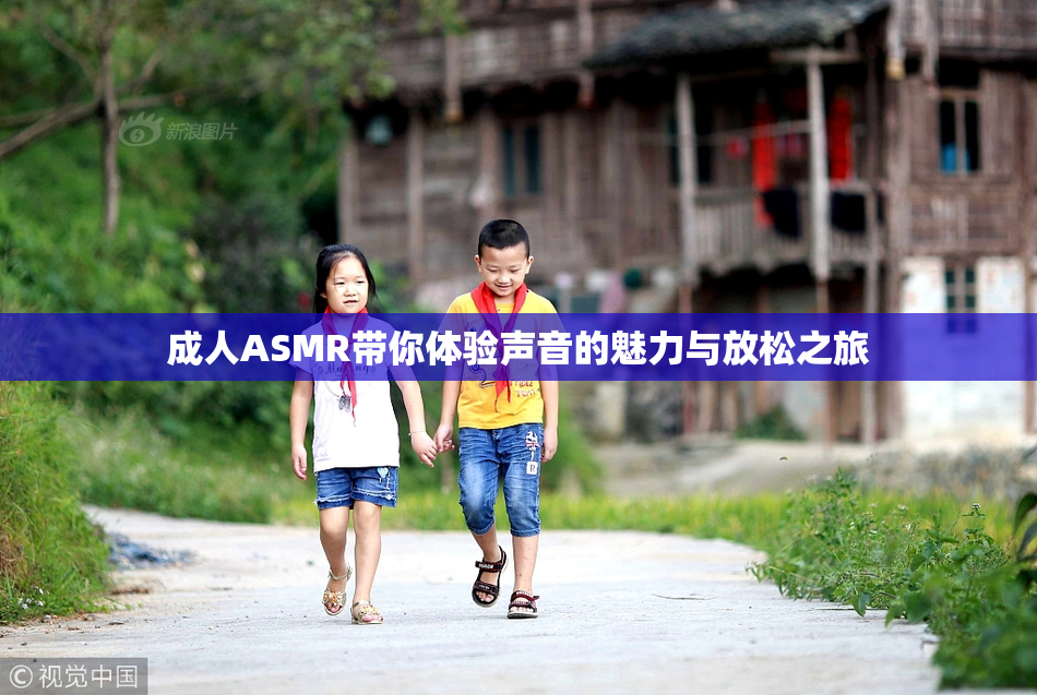 成人ASMR带你体验声音的魅力与放松之旅