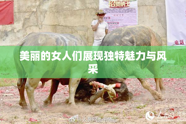 美丽的女人们展现独特魅力与风采