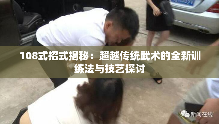 108式招式揭秘：超越传统武术的全新训练法与技艺探讨