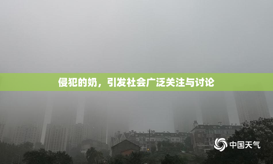 侵犯的奶，引发社会广泛关注与讨论